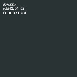 #2A3334 - Outer Space Color Image